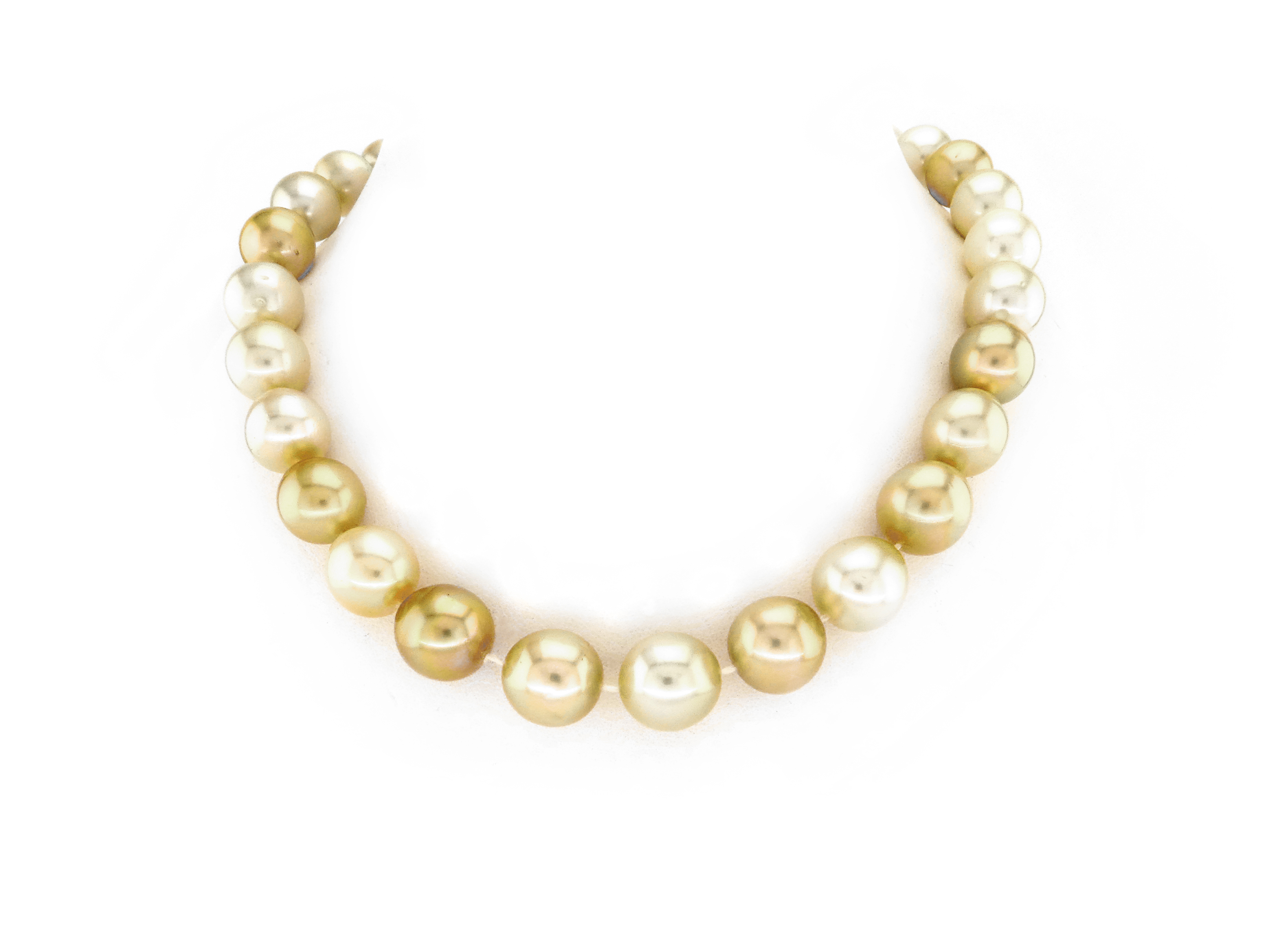 South Sea Gold Pearls | Jewel in a Box